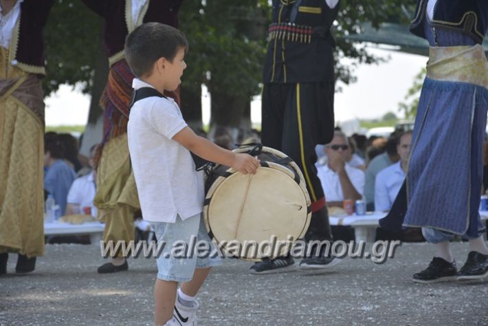 alexandriamou.gr_trikala28.5.2018016